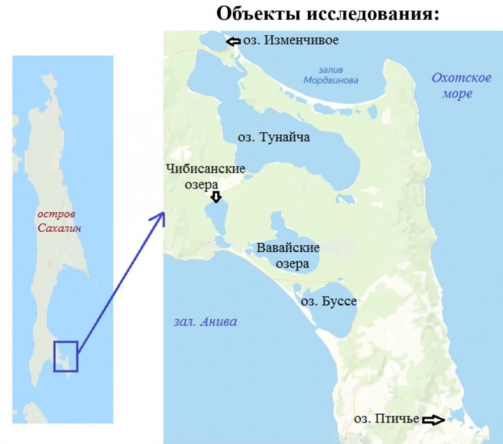 УЧЕНЫЙ СОВЕТ РЕКОМЕНДОВАЛ К ЗАЩИТЕ | 29.06.2022 | Южно-Сахалинск -  БезФормата